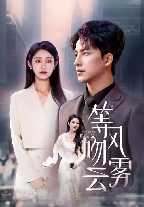 短剧准女婿上门封面